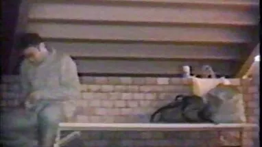 Đồ chó cái, vua chua dit nhau quỳ mặt