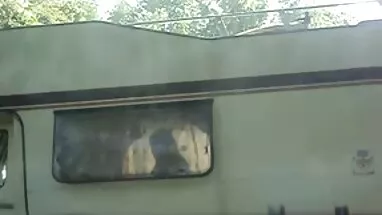 CHIM TO TIÊU vuasex DIỆT SILICON